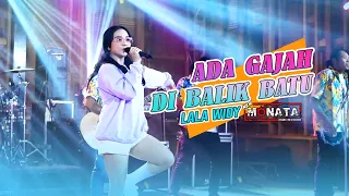 Download Lala Widy - Ada Gajah Di Balik Batu  (Official Live Music) New Monata MP3