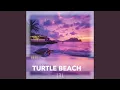 Download Lagu Turtle Beach
