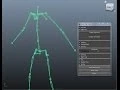 Maya Auto Rig Script