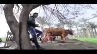 انس إبراهيم برومو اغنيه اتهد حيلي 