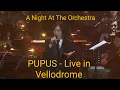Download Lagu Pupus - Live Vellodrome A Night At The Orchestra Dewa 19 - Once
