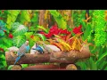 Crimson Sunbird Hovers Through Frangipani Branches 🌺 Bird Videos for Cats