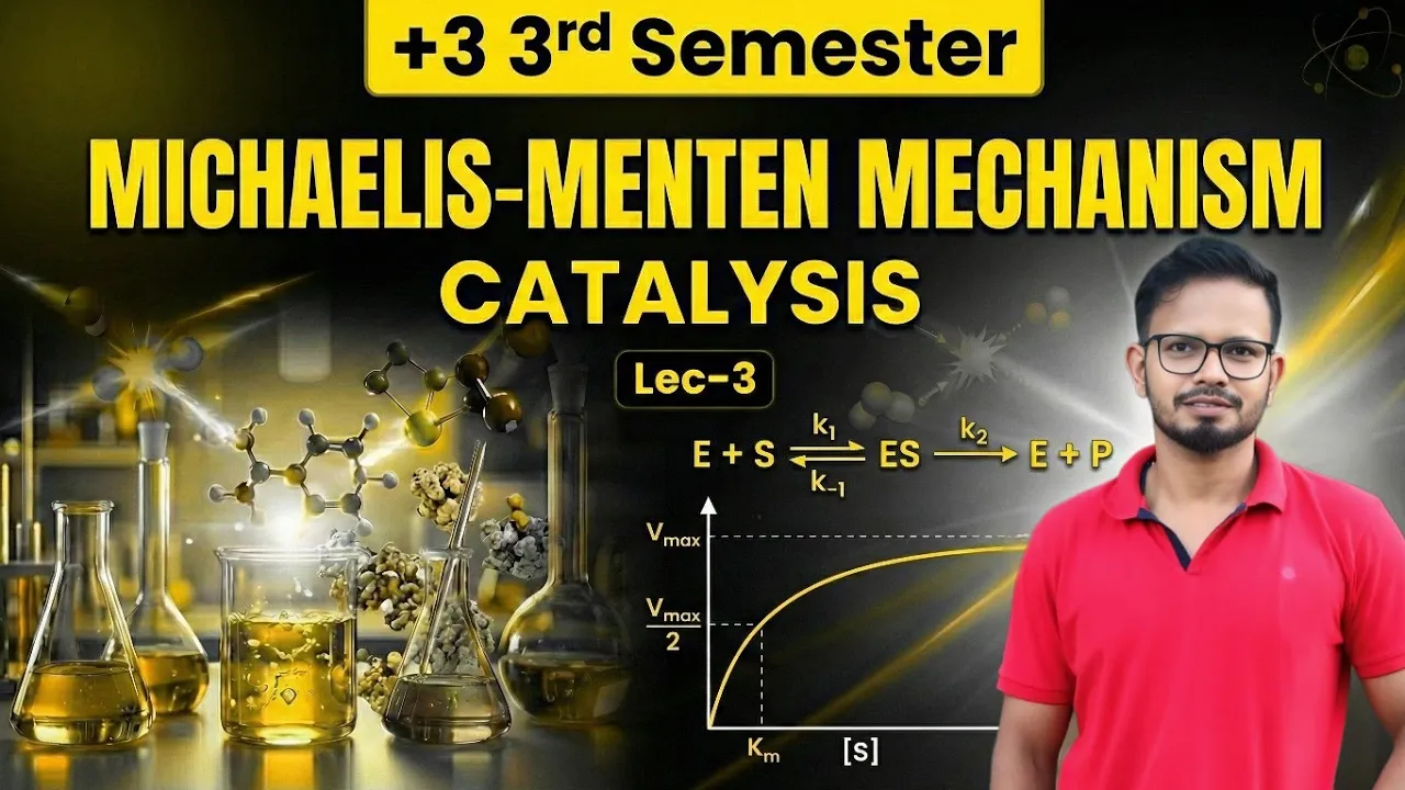 Machaelis Menton Mechanism | Catalysis | Bsc Chemistry | +3 3rd Sem Chemistry | Explained