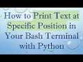 How to Print Text at Specific Position in Your Bash Terminal with Python