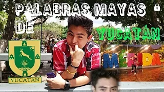 palabras en maya de yucat n