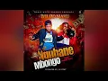 Download Lagu WILIZO NJAKU FT RICH BIZZY...NGUHANE MBONGO 💰💴