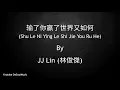 Download Lagu 输了你赢了世界又如何 - Shu Le Ni Ying Le Shi Jie You Ru He - JJ Lin (林俊傑) - Lyric Pin Yin