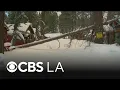 Heavy snow topples trees power lines in Big Bear