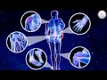 Fast Recovery and Alpha Wave Frequency Healing - Heal the Whole Body and Mind, Release Melatonin