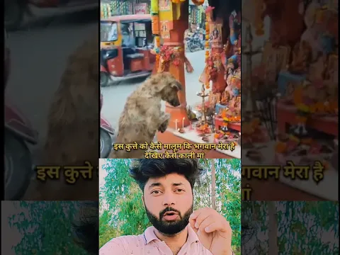 अनदेखा नजारा 😱 #shorts #shortfeed #kaliji #maakali #kalimaa #dog