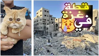 حياة المواطن في غزة أثناء الحرب (بسة من تحت الأنقاض) 😶