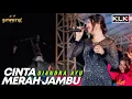Download Lagu CINTA MERAH JAMBU - DIANDRA AYU - LIVE SIMPATIK MUSIC KLK AUDIO - LIVE PANGGREH JABON SIDOARJO