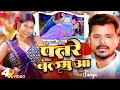Download Lagu #video Patare Balamuwa #Pramod Premi Yadav | पातरे बलमुआ | Feat. Tanya | New Bhojpuri Song 2024