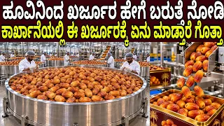 ಹೂವಿನಿಂದ ಖರ್ಜೂರ ಹೇಗೆ ಬರುತ್ತೆ ನೋಡಿ ಕಾರ್ಖಾನೆಯಲ್ಲಿ ಈ ಖರ್ಜೂರಕ್ಕೆ ಏನು ಮಾಡ್ತಾರೆ ಗೊತ್ತಾ Food Factory tour