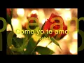 Como Yo Te Amo   Raphael