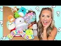 I ORDERED SOMEONES ENTIRE SQUISHMALLOW COLLECTION WAS IT A SCAM