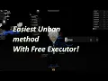 Roblox Breaking Point Unban W Free Executor Easiest Method