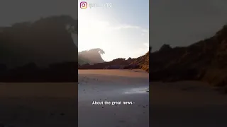 Surah Naba Heart Soothing Recitation 