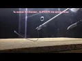 Basic Skills in Laparoscopy - Needle Handling