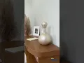 Vídeo do produto