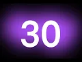 30 Second Countdown Timer - Silent