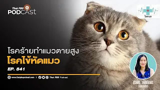 ทำไมการฉีดวัคซีนเร็วเกินไปถึงไม่ดี