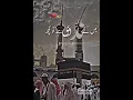 kabashareef##