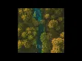 The Hip Abduction - \