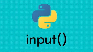The Input Function In Python