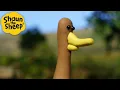 Duck! Duck! SHEEP! 🐑 Shaun the Sheep 🐑  - Cartoons for Kids 🐑 Full Episodes Compilation [1 hour]