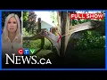 28 000 without power after storm CTV News Ottawa at Six for August 13 2026