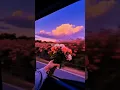 Download Lagu Love Me Like You Do - Ellie Goulding | lyrics | aesthetic| Whatsapp status | English songs |slowed