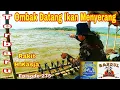 Download Lagu 🔴 Terbaru || Ombak Datang Ikan Menyerang ........ Rakit H.kasja Cilembu ‼️# Episode 275