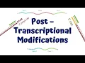 Post Transcriptional Modifications mRNA processing 5 Capping Poly A Tail Splicing
