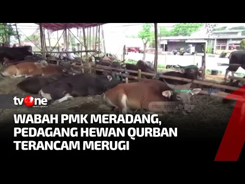 Wabah PMK Meluas, Bisnis Hewan Qurban Merugi
