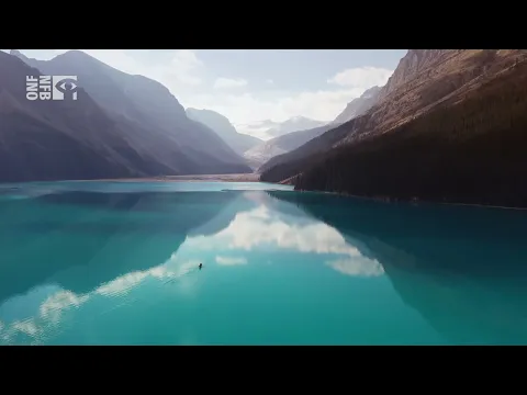 Losing Blue – Official Trailer