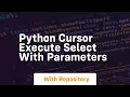 python cursor execute select with parameters