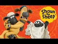 Download Lagu Shaun's Scariest Episodes Compilation! 😱👻🎃 Shaun the Sheep #halloween