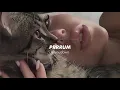 cosculluela, prrrum (slowed + reverb)