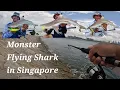 Download Lagu EP7: Blacktip Shark Fishing in Singapore at Pulau Hantu, St John \u0026 Kusu Island