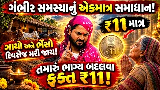 ગાયો-ભેંસો દિવસેજ મરી જતી | ૧૧ રૂપિયા મૂકી દો જીવન બદલાઈ જશે | શશી ભુવાજી #bhaktiamrut