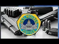 Des Moines police have already confiscated more than 100 guns in 2024
