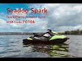 Seadoo Spark - Code P0106 Flame Arrestor Issue