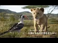 ライオン・キング-王様になるのが待ちきれない（Japanese）[音楽]