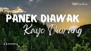 panek diawak kayo diurang frans ft fauzana slowed u0026 reverb 