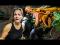 My 19 Foot Python Escaped