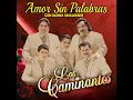 Amor Sin Palabras