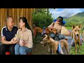 Download Lagu The golden dog repays the kind Miss Tieu Nha - CEO Hai's company is on the brink of bankruptcy