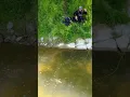 Download Lagu Bow and Arrow Cast - Spectacular Dry Fly Take and Catch of Huge Freshwater Tarpon the Asp #dryfly