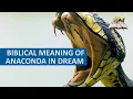 Biblical Meaning of ANACONDA in Dream - Spiritual Meaning of Snakes